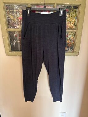 EUC Vuori Harem Jogger Pants Midnight (blue)